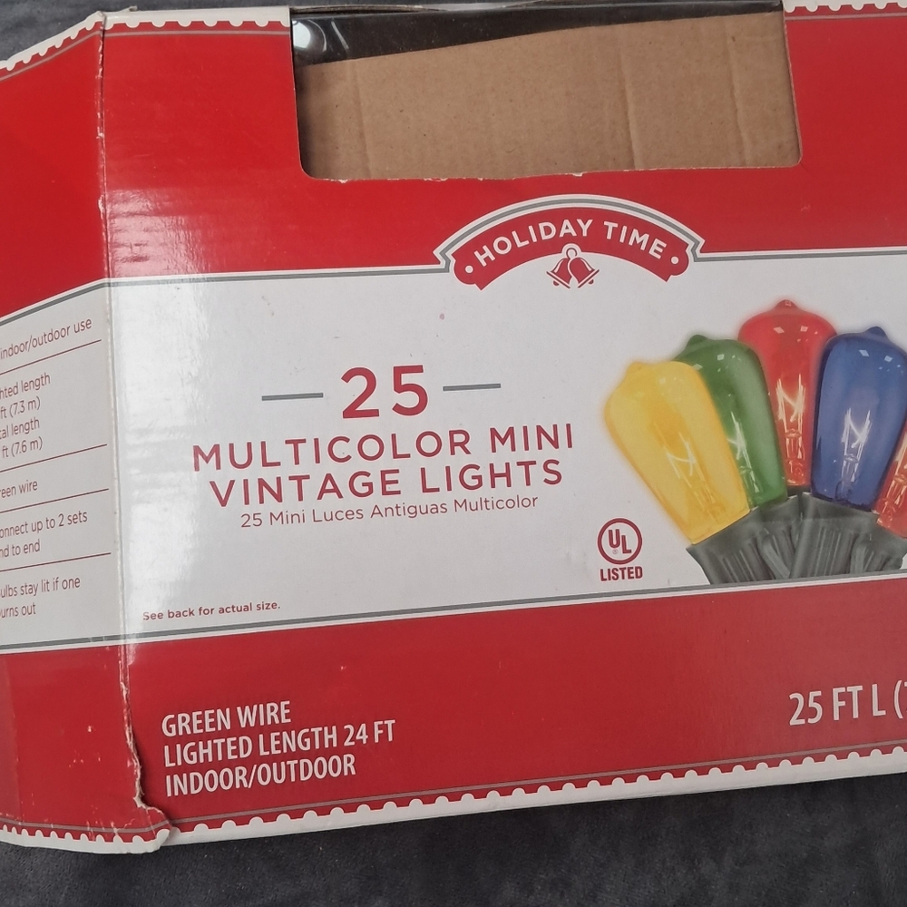 Holiday Time Multicolor Mini Lights with Green Wire